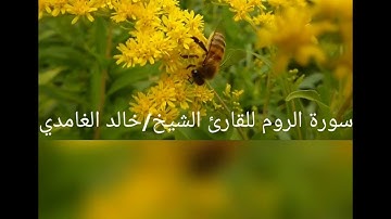 تلاوة عطرة🌱 من سورة الروم بصوت القارئ الشيخ/خالد الغامدي 🎙️من تراويح ليلة 20رمضان