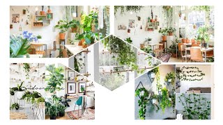 MODERN HOUSE PLANTS DECORATION #trendingvideo #enfatima