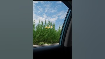القارئ : محمد أيوب وَيَسْأَلُونَكَ عَنِ الْجِبَالِ فَقُلْ يَنسِفُهَا رَبِّي نَسْفًا #سورة_طه #قرآن