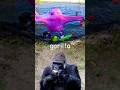 Animal Names for Kids to Learn at the Lake: Rooster Eagle Gorilla Bear Wildebeest