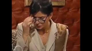 muppets tonight - sandra bullock & kermit - phenomena