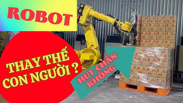 Robot Bốc Xếp Thùng Lên Pallet Tự Động | Quang Thắng Robotic
