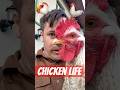 Kansai Chicken Raptor 🐓