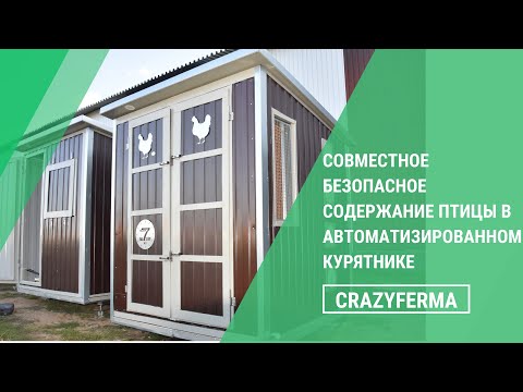 ОБЗОР АВТОМАТИЗИРОВАННОГО КУРЯТНИКА 2 в 1: с двойным режимом содержания домашних птиц