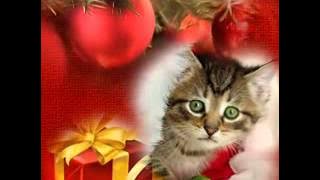 Kiki és Zoltán Erika:  Last Cristmast