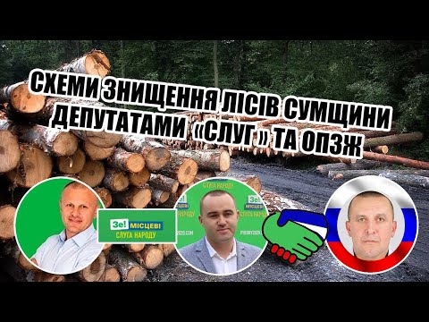 Депутати «Слуги народу» і «ОПЗЖ» об’єдналися та заробляють крадіжкою лісу на Шосткинщіні