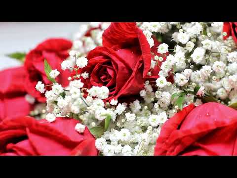 Nazarii Rubel Квіти без причини Українська музика