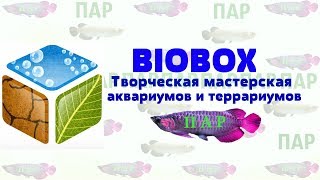 :  BIOBOX.
