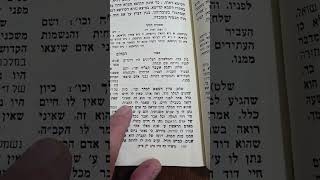 מי נתן חיים למלך דוד עליו השלום? ספר הזהר הקדוש מגלה. זהר חדש, שיר השירים.