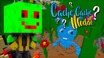 1001 PATTES ! | Cache Cache Modé