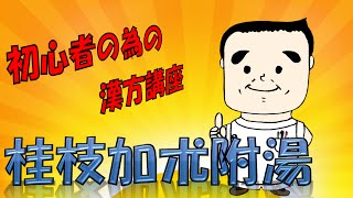 初心者の為の漢方講座　桂枝加朮附湯