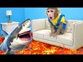 KiKi Monkey meet shark with The Floor is Lava and go shopping Colorful M&M Candy | KUDO ANIMAL KIKI