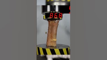 human bons vs hydraulic press  – What Happens?