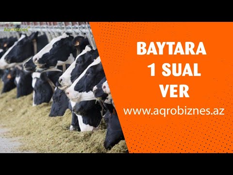 Video: Ev Heyvanlarında Antifriz Zəhərlənməsinin Müalicəsi Və Qarşısının Alınması - Antifriz Zəhərlənməsinə Təcili Qulluq