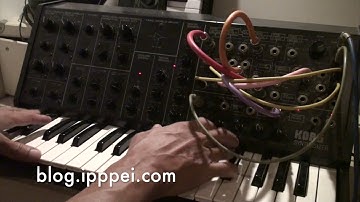 Korg MS-20 halation duo #korgms20