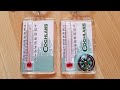 Coghlans zipper pull thermometercompass