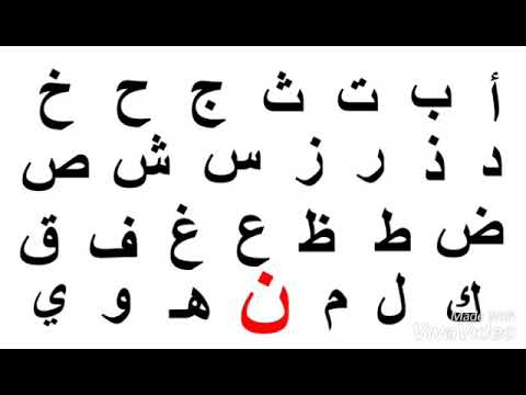 قصة حرف النون نملة نحلة