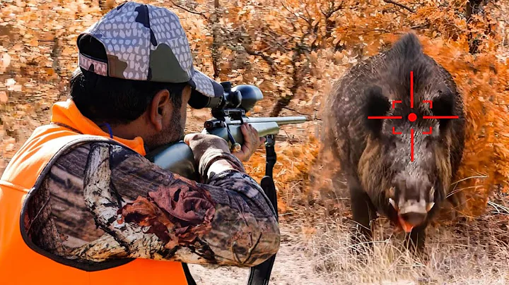 WHEN AMERICA HUNTERS HUNT BOARS  |  Part 4