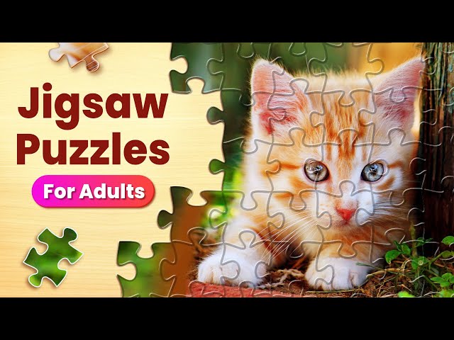 Jigsaw Puzzle Of The Day para Android - Download