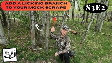 Whitetail Deer - Add a Licking Branch to Your Mock Scrape - Simple Tip
