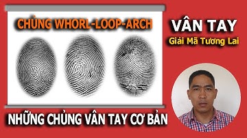 DẤU VÂN TAY BÍ MẬT TẠO HÓA PHƯƠNG PHÁP HÓA GIẢI VẬN MỆNH.