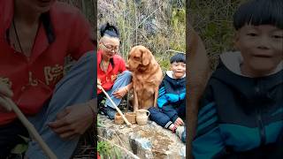 Experience the Joy of Raising a Dog in Rural India#funny