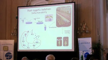 Speciation 2010: Tatiana Giraud - Cryptic species and evolution of reproductive isolation