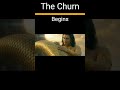 The Churning Begins