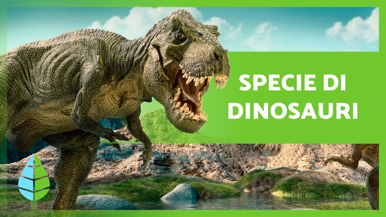 TIPI di DINOSAURI 🦕 Quante specie esistevano? - YouTube
