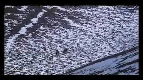 Cosa vuol dire stat rosa pristina nomine nomina nuda tenemus?
