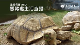 Publication Date: 2022-12-18 | Video Title: 萬鈞匯知中學生態360線上大揭密- 盾臂龜生活直播