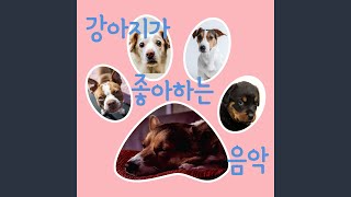 강아지 자장가
