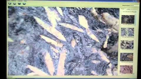 Mudfossils are boneless and the wet fossilization process is to blame