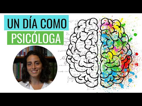 Vídeo: Un Dia A La Vida D’un Psicoterapeuta Privat