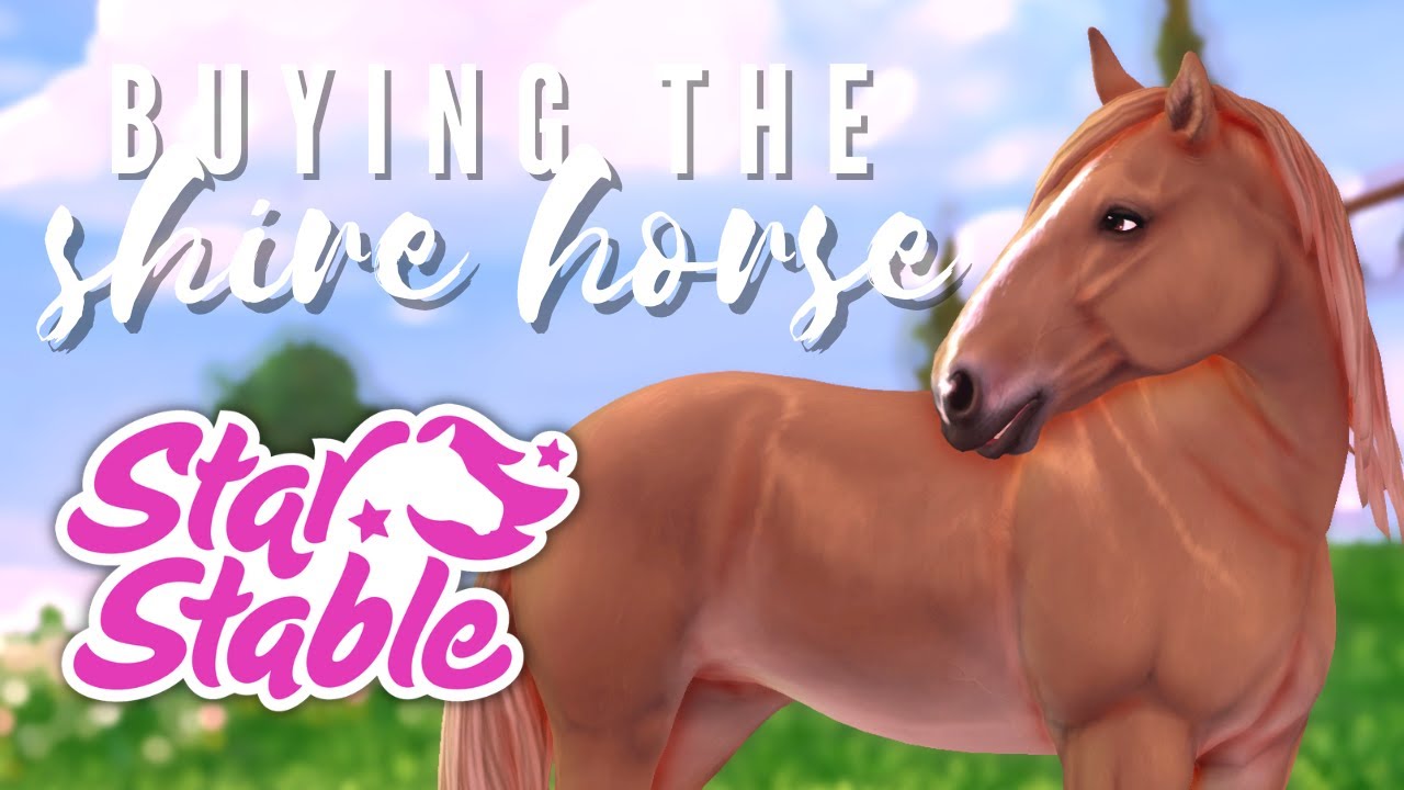 Buying The New Shire Horse In Star Stable! YouTube
