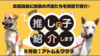 ウチの推しの子紹介します(広報高松9月号)