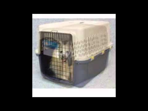 airline-approved-dog-kennel