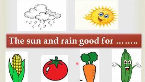 Unit 4 connect plus KG1 Part 2