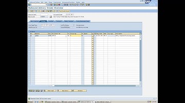 How to Process Credit Card Payments in SAP ERP Applications: Paymetric