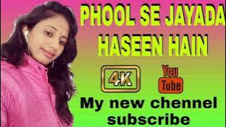 Phoolon Se Jyada Hasin Hai || muvi kaise kaise Rishte || Kumar Sanu Alka Yagnik Hindi song