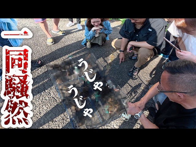 驚愕‼️たった一晩で罠にとてつも無い量の⭕️⭕️が…