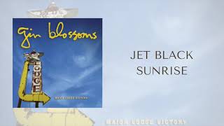 Video thumbnail of "Gin Blossoms - Jet Black Sunrise (Official Audio)"