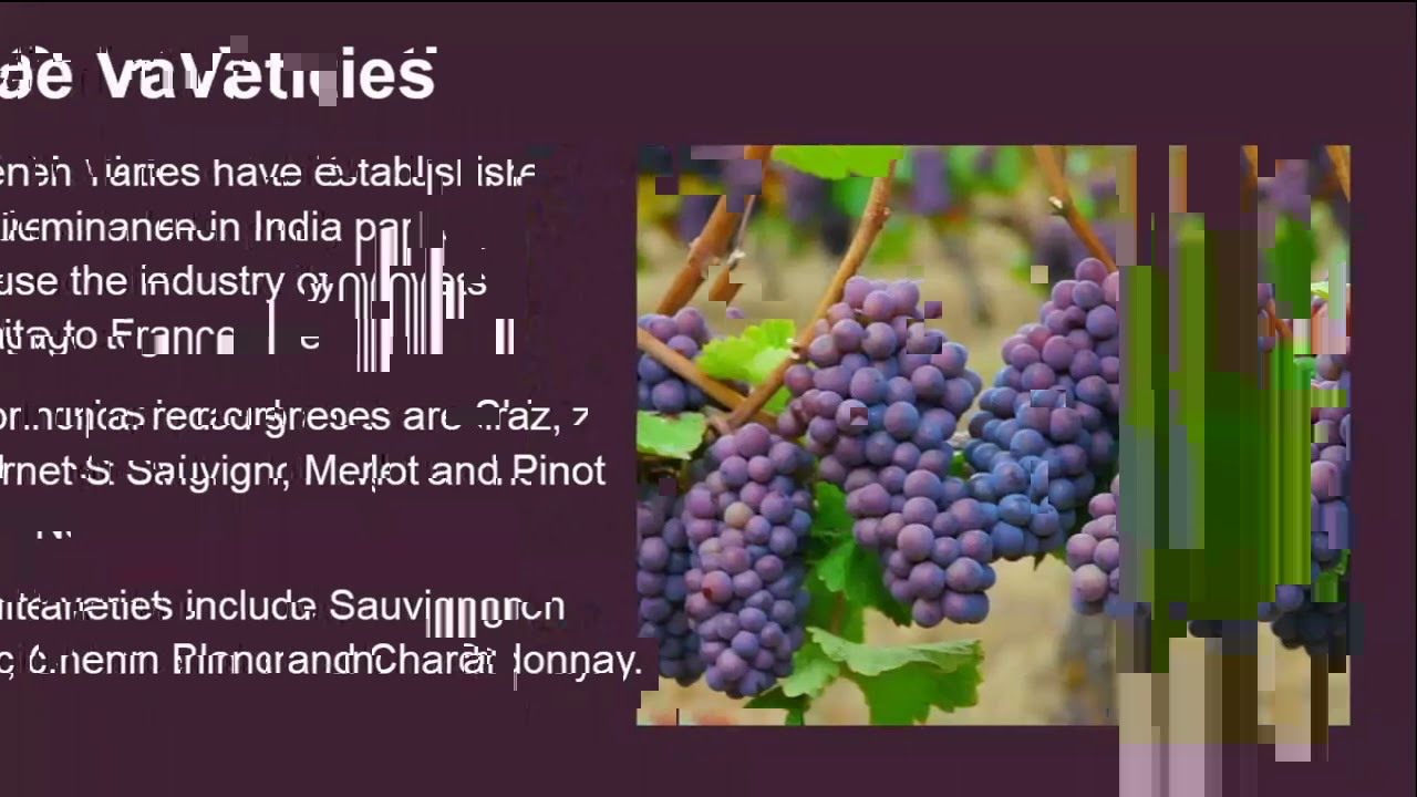 Wines of India - Journey through Vedic Era toward modern wine industry