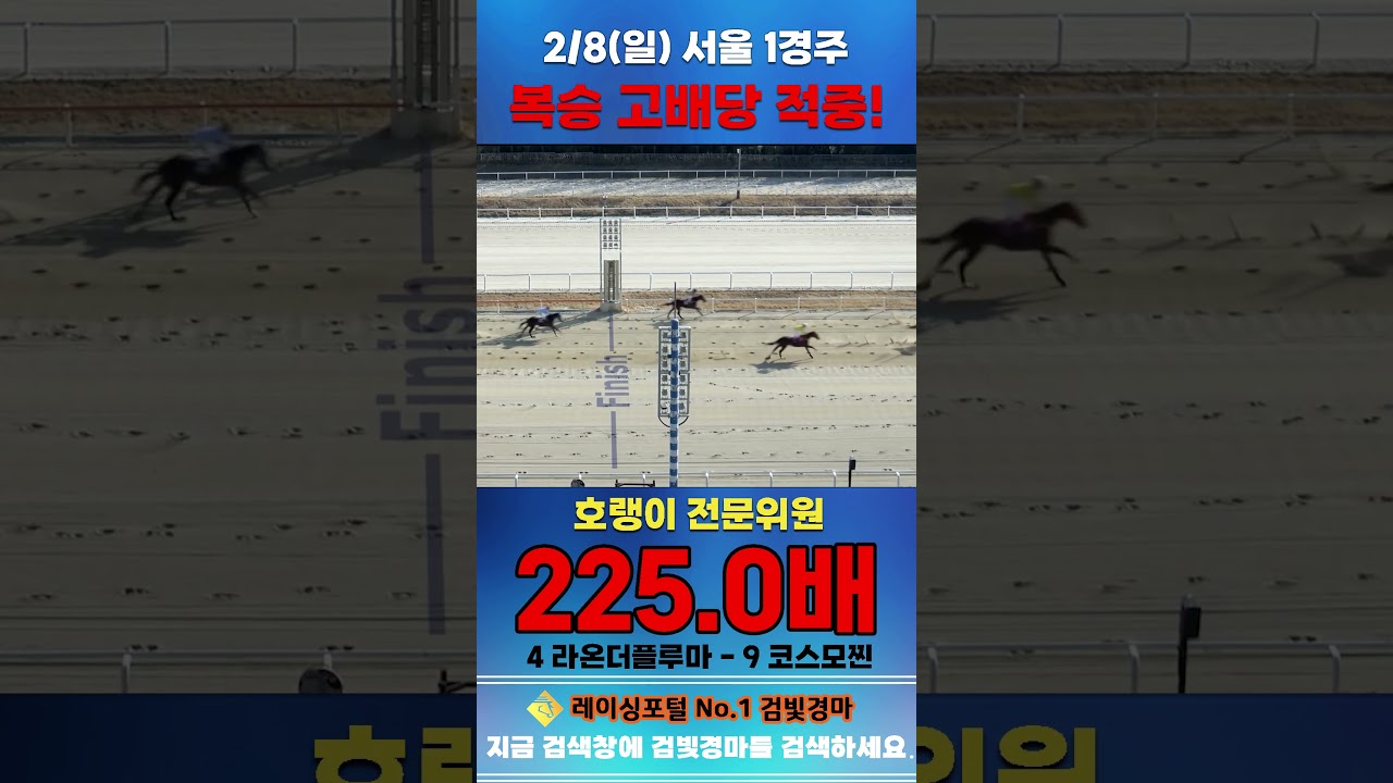 [서울 경마] 2월 8일 일요 1경주 호랭이 전문위원 복승 고배당 적중 #경마 #horse #한국마사회 #automobile #하이라이트 #riding #korean #뉴스