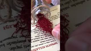 Safran From Safranbolu, Turkey