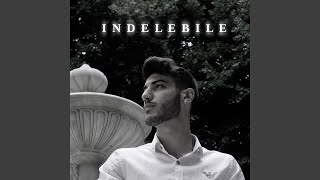 Video thumbnail of "Drena - Indelebile"