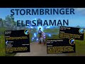 Is Stormbringer Ele Shaman Any Good? | Full Delve Playtest!