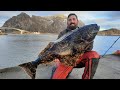 Norway Halibut Fishing From The Shore | Lofoten Islands Norway