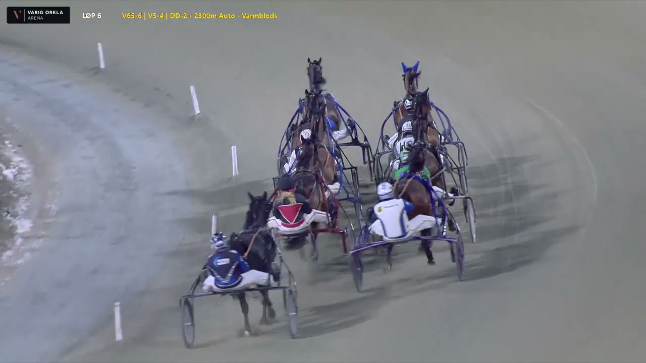 Varig Orkla Arena - Søndag 1. mars 2026 - Løp 6