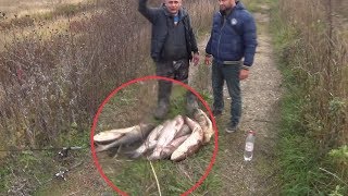 27кг ТОЛСТОЛОБА за один заброс Накидки. АМУР на Кастинговую сеть. Рыбалка 27кг ТОЛСТОЛОБА за один заброс Накидки. АМУР на Кастинговую сеть. Рыбалка